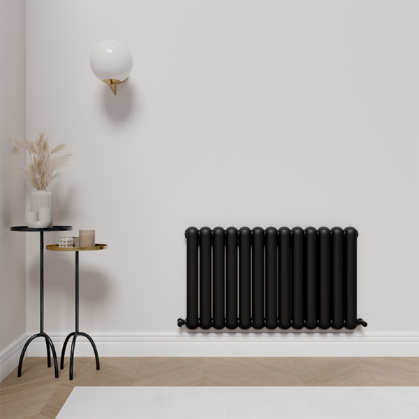 Cambridge Oval Designer Radiator | Anthracite, Black, Brushed Bronze & White | Designer Radiator | Delivery throughout the UK | Direct Radiators